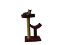 010890260231 Molly Friends Burgundy Simple