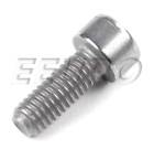 07129905536 Genuine Bmw New Screw