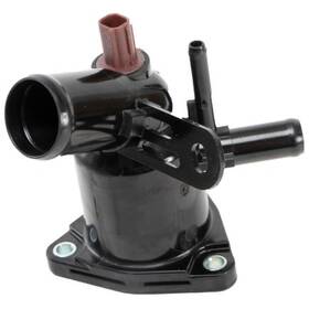 86283 Four Seasons Water Outlet With Thermostat