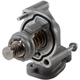 86323 Four Seasons Water Outlet With Thermostat