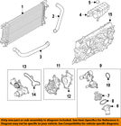 F-150-engine Hl3z8590a Ford Oem Water Pump Gasket
