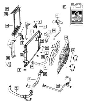 55038116aa Mopar Genuine Radiator Outlet Hose