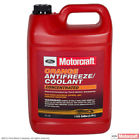 Vc-3-b Motorcraft Engine Coolant Antifreeze-orange