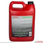 Vc-5dil Motorcraft Engine Coolant Diluted Antifreeze Gallon