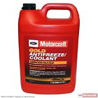 Vc-7-b Motorcraft Engine Coolant Antifreeze-gold