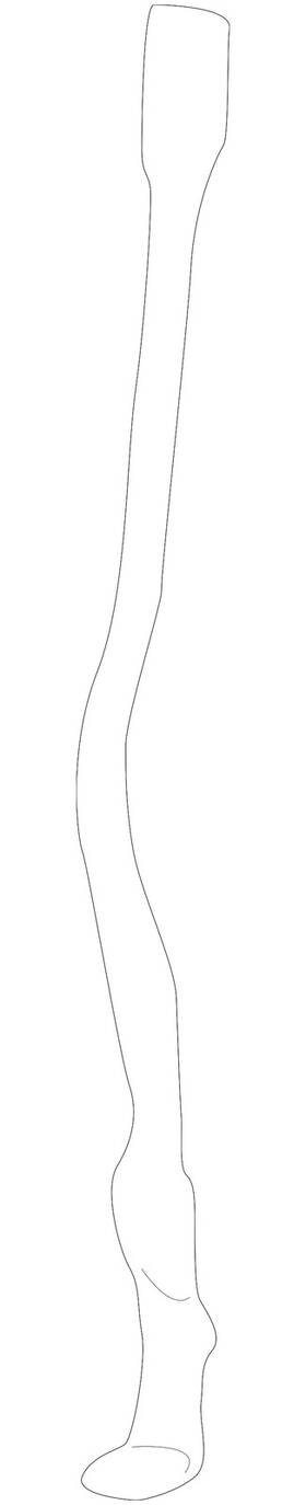 3b0-805-489-f Volkswagen Genuine Radius Rod