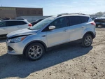 Used Radiator Shutter Assembly Fits: 2014 Ford Escape Grade. Fixed Price $304.50.