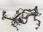 21-24 Bronco Sport 1.5L Motor Engine Wire LX6T-12C508-HA Oem #022. Fixed Price $380.00.