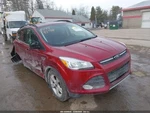 Used Radiator Shutter Assembly Fits: 2014 Ford Escape Grade. Fixed Price $294.90.