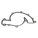Gm Genuine Parts 251-2047 Engine Water Pump Cover Gasket. Fixed Price $40.99.