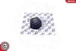 For Germany 61SKV027 Expansion Tank Cap. Fixed Price $11.03.