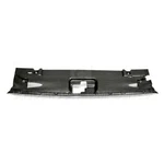 Carbon Fiber Radiator Cover 2015-2017 Ford Mustang. Fixed Price $449.00.
