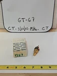 Beck/arnley 201-0866 Cooling Fan Switch Nos. Fixed Price $8.10.