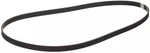 Genuine Nissan Accessory Drive Belt 11920-0W002. Fixed Price $54.89.