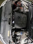 Radiator Fits 10-17 Audi A5 1325149. Fixed Price $145.00.