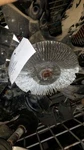 Fan Clutch 8-302 5.0L Fits 96-01 Explorer 1075302. Fixed Price $71.03.