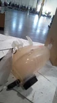 Coolant Reservoir Fits 17-19 Escape 555475. Fixed Price $64.99.