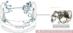 Engine Room Harness Oem 2016 Chevrolet Malibunew. Fixed Price $200.00.