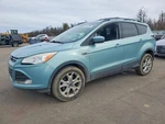 Used Radiator Shutter Assembly Fits: 2013 Ford Escape Grade. Fixed Price $274.90.