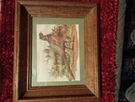 Vintage Male Ring Necked Pheasant Brown Framed Glass Portrait 13X11X2 5. Fixed Price $6.00.