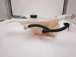 Coolant Reservoir Fits 03-24 Express 2500 Van 729764. Fixed Price $129.99.