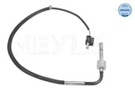 Meyle Exhaust Gas Temperature Sensor For Mercedes X166 W166 Gle 12-19 0009058604. Fixed Price $48.78.