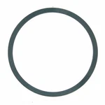 Engine Water Pump Cover Seal Fel-pro 35691. Fixed Price $9.95.