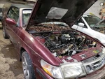 Radiator Fan Motor Assembly Convertible 250 Watt Fits 99-03 Saab 9-3 1233844. Fixed Price $65.88.