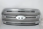 FL3Z-8200-UA 2015-2017 Ford F-150 Platinum Brushed Satin Front Bumper Grille. Fixed Price $195.99.
