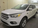 Used Radiator Shutter Assembly Fits: 2017 Ford Escape Grade. Fixed Price $300.99.