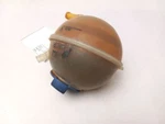 Coolant Reservoir Fits 1999 Volkswagen Beetle Gl. Fixed Price $69.00.