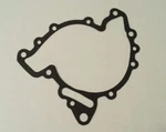 Buick 231 V6 3.8 Turbo Grand National + N/a Engine Water Pump Mounting Gasket Gm. Fixed Price $5.00.