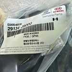 New-genuine Hyundai Guard Air Right-hand 29134-J9000. Fixed Price $112.99.