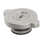 T16V Radiator Cap For Chevy Olds Ram Truck Express Suburban Savana. Fixed Price $9.38.