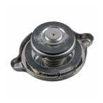 1.2 Bar 17# Radiator Pressure Cap 1968-1989 Mercedes 123 501 02 15 Febi Bilstein. Fixed Price $18.53.