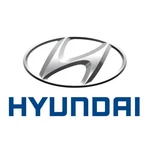 Genuine Hyundai Guard Air Right-hand 29134-J9000. Fixed Price $54.94.