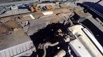 Radiator Fan Motor Assembly Fits 95-97 XJ6 940736. Fixed Price $174.99.