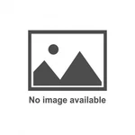 Meziere Gm Gen-v Lt Elec. Water Pump 55 Gpm Black WP334S. Fixed Price $895.70.