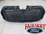 Thru 17 F-150 Oem Ford Upper Radiator Grille Air Shutter Assembly FL3Z-8475-F. Fixed Price $309.95.