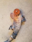 1983 Chevrolet C60 427 Water Pump. Fixed Price $89.99.