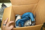 Borgwarner Fan Drive Pulley Hub 010022084 Kysor Style. Fixed Price $329.99.