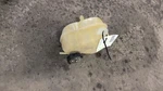 Aura 2007 Coolant Reservoir 734295. Fixed Price $104.90.
