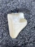 1995-1998 Toyota Tercel Paseo Radiator Coolant Reservoir Tank Bottle 16470-11090. Fixed Price $29.99.