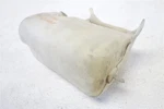 1999-2002 Nissan Quest Radiator Coolant Bottle Reservoir Tank 21710-7B000. Fixed Price $69.83.