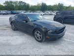 Radiator Core Support Fits 10-14 Mustang 1130184. Fixed Price $554.90.